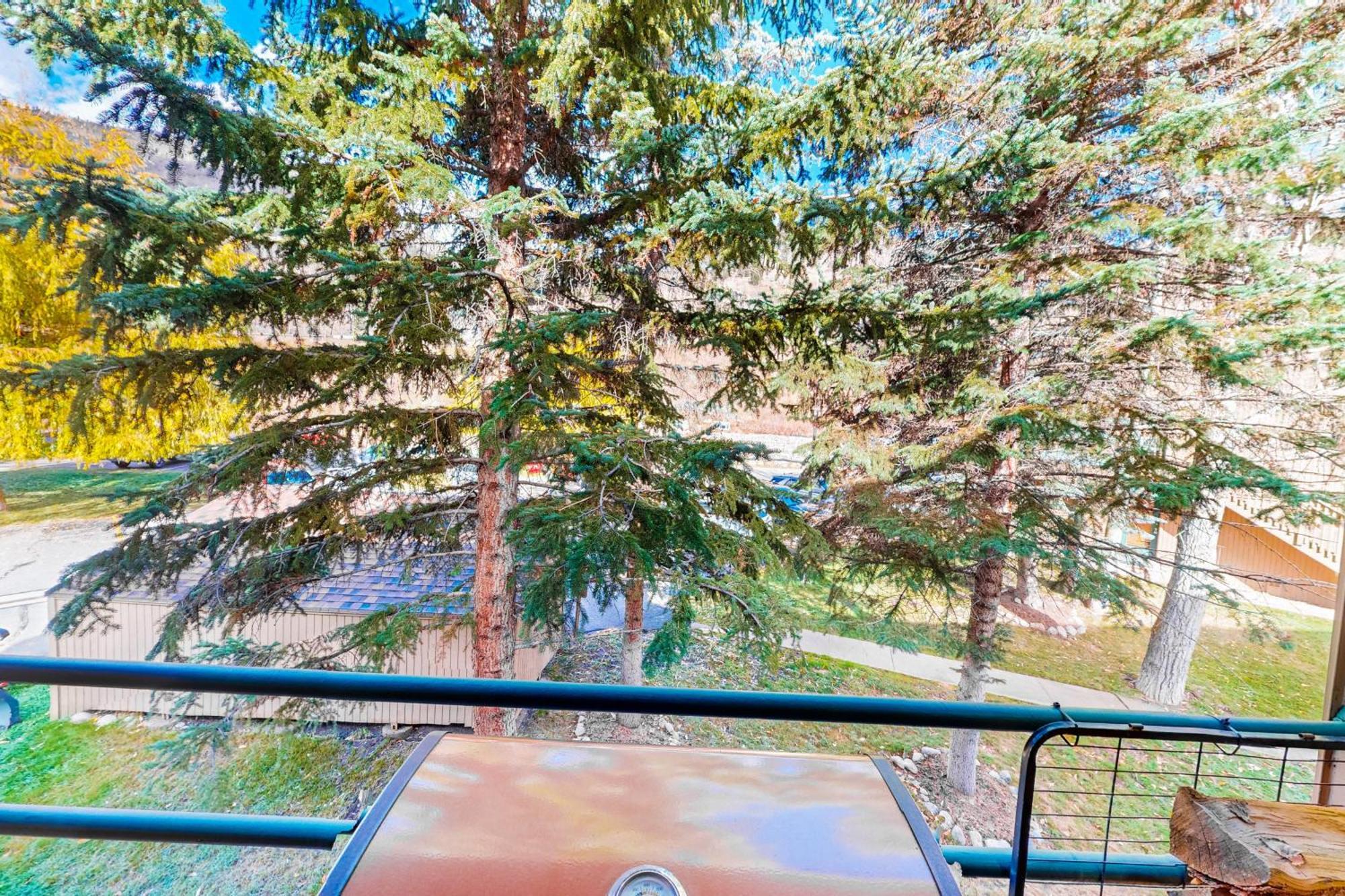 Pitkin Creek Park 7 Villa Vail Oda fotoğraf